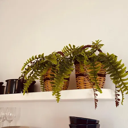 Casa Di Manto Traditional דירה *